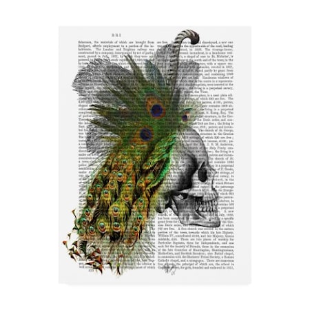 Fab Funky 'Skull With Feather Headdress' Canvas Art,18x24